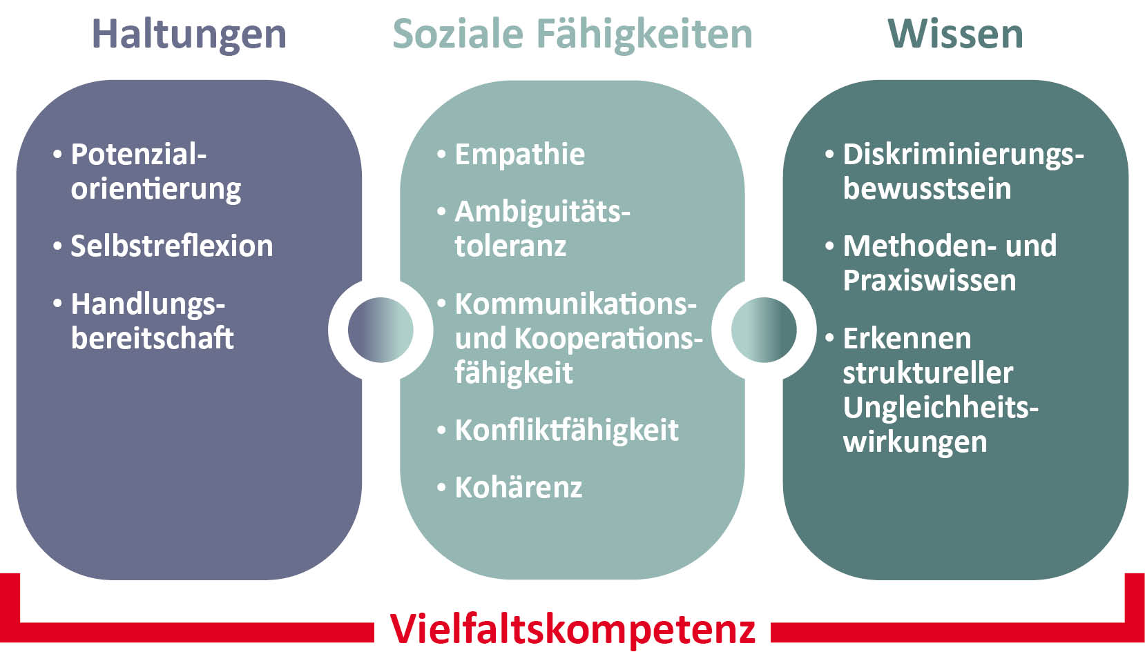 FS IKA Grafik Modell interkulturelle Diversity Kompetenz 1